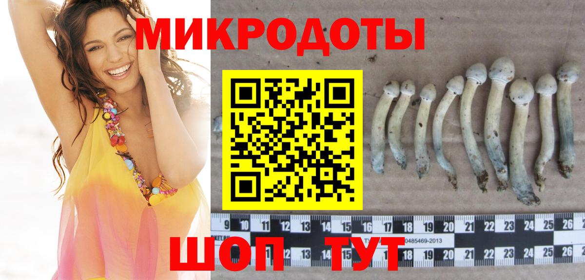 Хабаровск  Псилоцибиновые грибы Magic Shrooms  Вход с VPN 